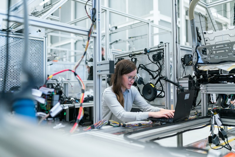 Manufacturing Sector Consultant